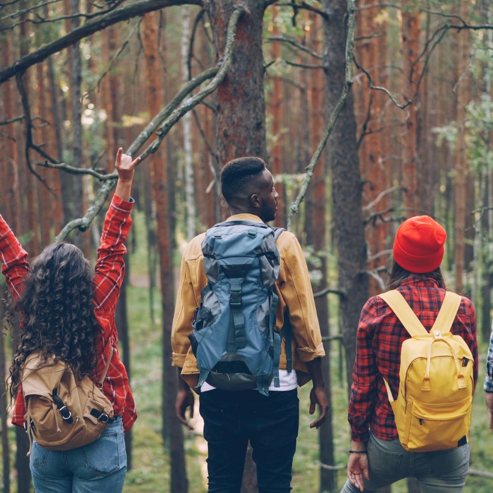 Three people hiking in a forest with backpacks